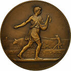 [#551875] France, Medal, Ministère de l'Agriculture, Associations Agricoles, Lag