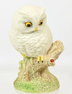 Very Cute Aynsley Fine Porcelain Baby Owl and Ladybird by John Aynsley - Picture 1 of 3
