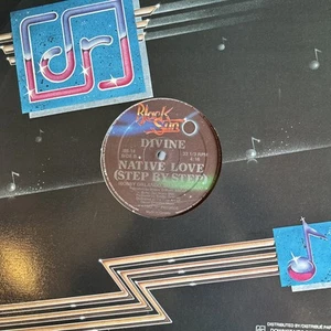 Divine - Native Love (Step By Step), 12", (Vinyl) Canada Import Vg+ - Picture 1 of 3