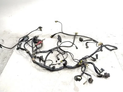 Ducati Monster 1000S 2003 cableado principal arnés telar Foto 1 de 4