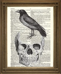 VINTAGE DICTIONARY PAGE PRINT: Death Skull & Black Crow / Raven Poe Antique Art - Picture 1 of 2