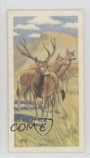 1963 Brooke Bond Wildlife in Danger Tea Mi-Lu or Pere David's Deer #15 0y5