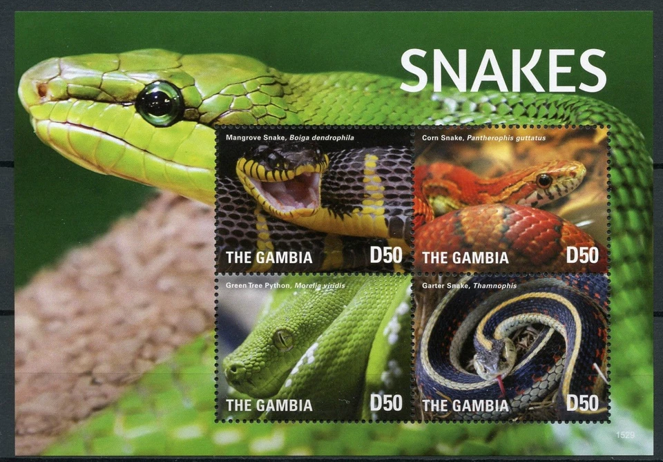 Python, Mangrove Corn Garter, Green tree, Snakes Reptiles, Gambia 2015 MNH SS - Image 1 of 1
