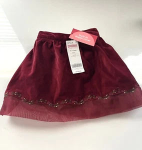 Gymboree Velvety Primrose Trimmed Lace skirt Skort girls size 12-18 Months New - Picture 1 of 5