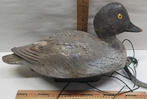 Goldeneye Quarttrocchi Duck Decoy - W/ Weight - Floating Decoy - 0506256 - Picture 1 of 18