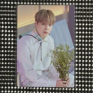 Cartolina fotografica ufficiale BTS SoWooZoo Jimin #5 - Foto 1 di 11