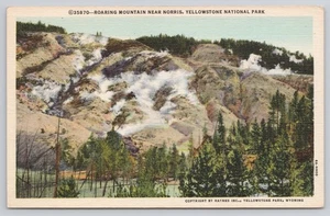 Postal del Parque Nacional de Yellowstone Roaring Mountain cerca de Norris Wyoming WY - Imagen 1 de 2