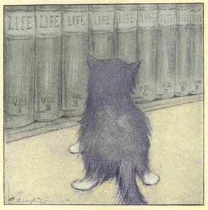 A4 Photo Herford Oliver Rubaiyat Persian Kitten 1906 33 Print Poster - Picture 1 of 1
