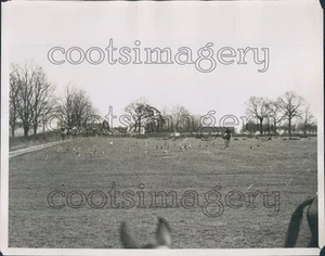 1931 Duke of Beaufort Hunt Meet at Foxley Green 1930s England Press Photo - Picture 1 of 2