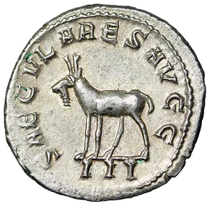 Philipp II 1000th Anniversary Secular Games of Rome AR Antoninianus "Goat" Choice - Bild 1 von 5