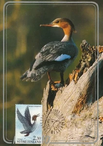 Large Duck North American Goosander Mergus Merganser Finland Maxi FDC Card 1993 - Picture 1 of 1