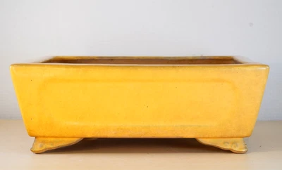 Bonsai japonés Tokoname WATANABE IKKO 11,2" (28,4 cm) amarillo rectángulo Y984 Foto 1 de 4