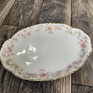 Lorenz Hutschenreuther Germany Pasco Pink Roses Gold Rim Platter - Picture 1 of 3