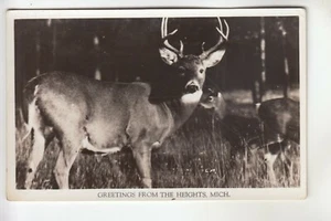 Real Photo Postcard Deer Greetings from The Heights MI  - Picture 1 of 1