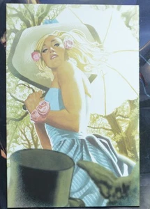 Alice Ever After #2 - 1:25 Adam Hughes Retailer Incentive Virgin Variant - Picture 1 of 2