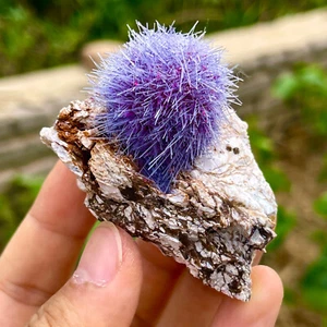 91G Indian dandelion zeolite Quartz Crystal Cluster Mineral Specimen - Picture 1 of 12