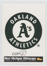 1994 Classic West Michigan Whitecaps West Michigan Whitecaps #29