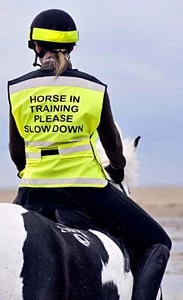 Equisafety Air Waistcoat Horse In Training Please Slow Down - Picture 1 of 3