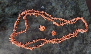 Vintage Natural Coral Set 68" Necklace And Clip Earrings -D - Picture 1 of 6