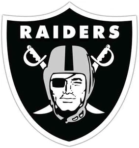 Oakland Raiders NFL Football Car Bumper Locker Notebook Sticker Decal 4"X5" - Picture 1 of 1