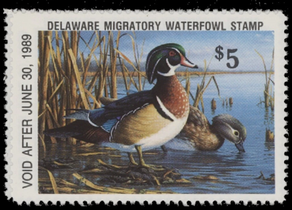 1988  Delaware State Duck Stamp. Mint Never Hinged. Original Gum    - Image 1 of 1
