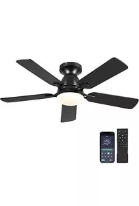 Modern Ceiling Fan with Lights A8505 Black-46 Mpayel 46" Low Profile & Remote - Picture 1 of 11