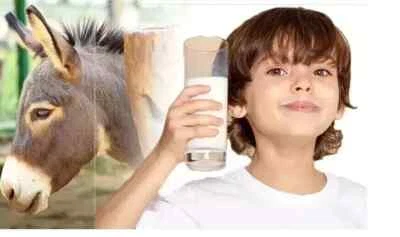 100% PURE NATURAL HERBS DONKEY MILK POWDER FREEZE DRIED 50GM (1.76 Oz) - Image 1 of 4