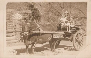 RPPC Postcard African American Black Nanny w/ White Children Hot Springs AR 1920 - Picture 1 of 3