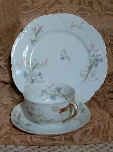 Haviland Limoges Schleiger Blue & Pink Floral 1 SALAD PLATE 1 Cup & Saucer - Picture 1 of 7