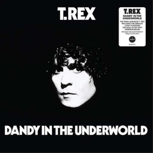 T.Rex Dandy in the Underworld (Vinyl) 12" Album (Clear vinyl) - Photo 1/1