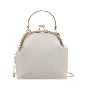 Stylish Metallic Chain Evening Purse In Luxurious Shoulder Crossbody Purses - Picture 1 of 13