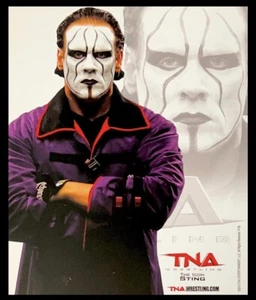 TNA STING P-29 8X10 WRESTLING PROMO PHOTO OFFICIAL LICENSED THE ICON - Picture 1 of 1