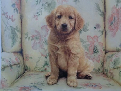 Sueellen Ross Soft Spot  AP 73/125 print Puppy Dog  - Image 1 of 4