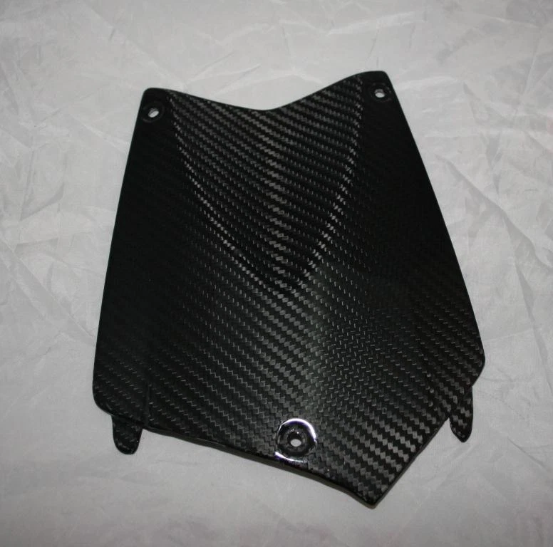 Cubierta Batería BMW K1200R K1300R 100% Carbono Brillante Foto 1 de 1