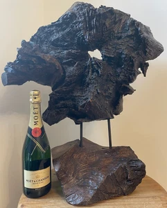 Rare Fossilised Drift Wood Slice from Irish coastline sculpture 10kg 62 cm tall - Picture 1 of 14