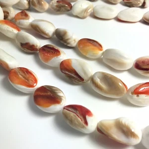 15.5"- Natural Naranja Rojo Espinoso Oyster Shell M Freeform Tumble Bead HQ, NUEVO HÁGALO USTED MISMO - Imagen 1 de 12