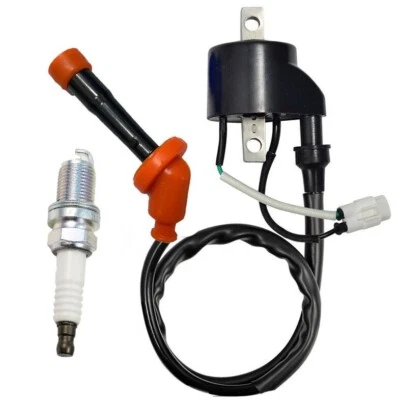 Tapa de bobina de encendido y bujía para Suzuki Quadracer 450 LTR450 2006-2009 Foto 1 de 3