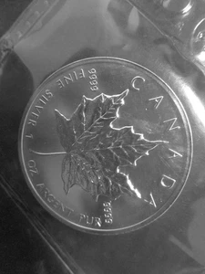 Silbermünze 999er - Canada 5 $ 1996 (1 OZ) "Maple Leaf" VZ in Folie   GS9973 - Picture 1 of 2