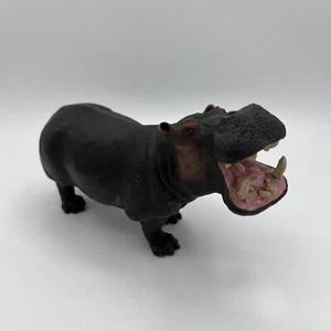 Safari ltd Hippopotamus Hippopotamus serie 9" animali selvatici X large 2007 - Foto 1 di 13