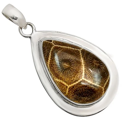 Flor Natural Fósil Coral 925 Plata de Ley Colgante Joyería P-1076 Foto 1 de 4