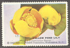 Cinderella Stamp - National Wildlife Federation - Yellow Pond Lily - 1943