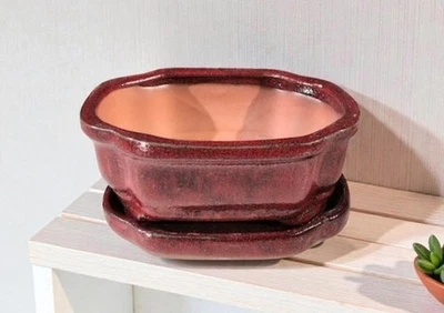 Bonsai de cerámica roja parisina con bandeja de goteo de humedad rectangular OD 6"x4,5"x2,5" Foto 1 de 2