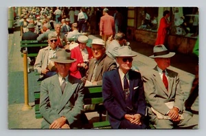 VTG chrome postcard Famous Green Benches St Petersburg, FL posted 1960 people - Picture 1 of 2