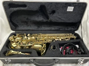 Etüden Altsaxophon - Top Zustand, spielbereit mit Hartschalenkoffer - Bild 1 von 17