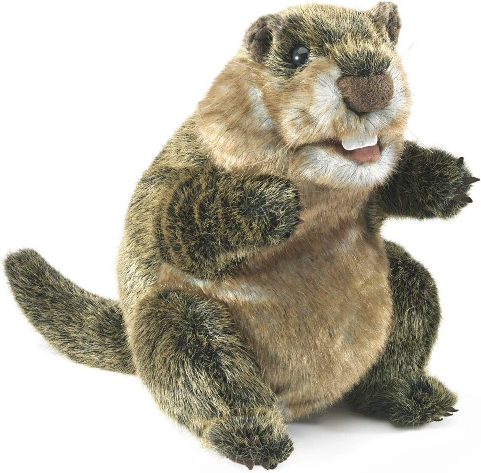 Groundhog Hand Puppet by Folkmanis Puppets 3169 Boys & Girls 3 Years and up