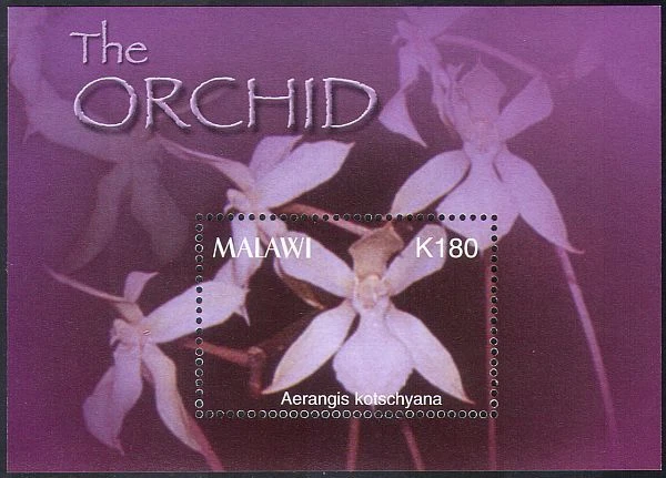 Malawi 2003 Orquídeas/Plantas/Natureza/Flores Africanas 1v m/s (n10368) - Imagem 1 de 1