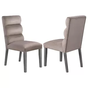 Carla Velvet Upholstered Dining Side Chair Ash (Set of 2) - Picture 1 of 5