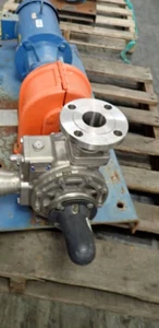 Blackmer Stainless Steel Sliding Vane Pump Model STX2A-DEF 5 HP - Picture 1 of 16