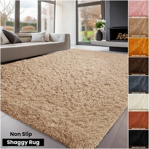 Large Area Rugs Modern Indoor Shaggy Carpets Non Slip Fluffy Rug for living room - Picture 1 of 39