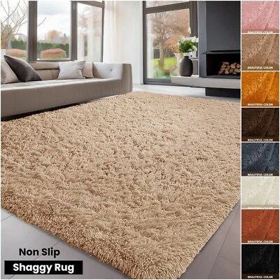 Large Area Rugs Modern Indoor Shaggy Carpets Non Slip Fluffy Rug for living room - Image 1 of 4